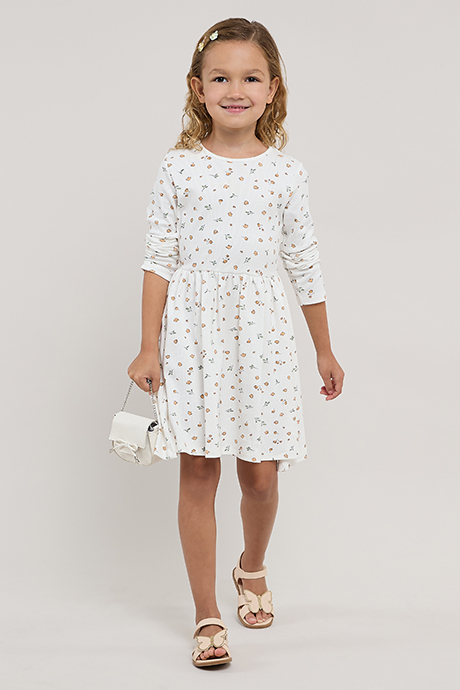 Printed Fit & Flare Dress with Crew Neck and Long Sleeves