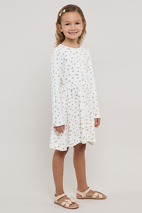 Printed Fit & Flare Dress with Crew Neck and Long Sleeves
