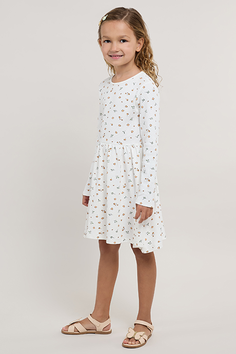Printed Fit & Flare Dress with Crew Neck and Long Sleeves