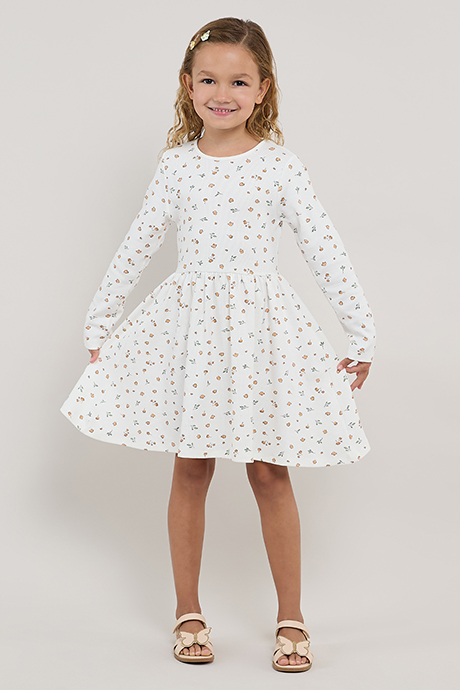 Printed Fit & Flare Dress with Crew Neck and Long Sleeves