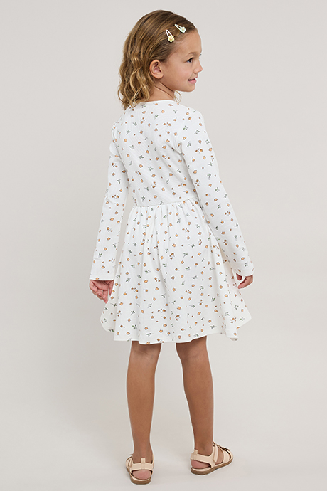 Printed Fit & Flare Dress with Crew Neck and Long Sleeves