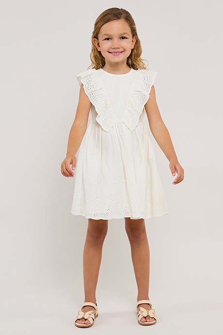 Schiffli Sleeveless Fit & Flare Dress