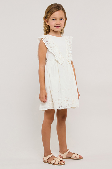 Schiffli Sleeveless Fit & Flare Dress