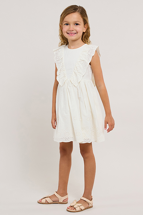 Schiffli Sleeveless Fit & Flare Dress