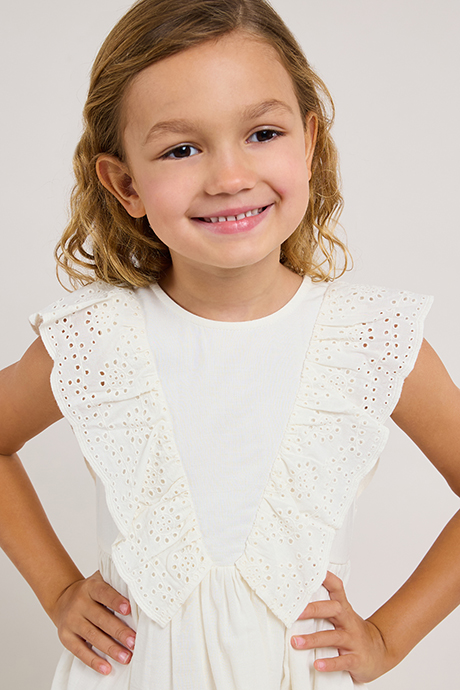 Schiffli Sleeveless Fit & Flare Dress