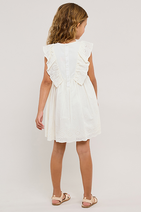 Schiffli Sleeveless Fit & Flare Dress