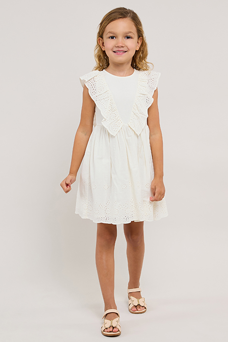 Schiffli Sleeveless Fit & Flare Dress