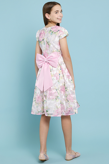 Floral Print Fit & Flare Dress with V-Neck and Cap Sleeves