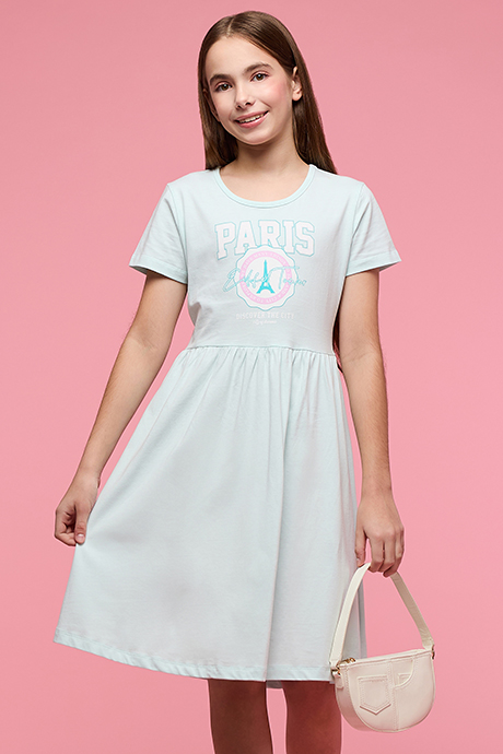 Printed Fit & Flare Dress with Crew Neck and Short Sleeves