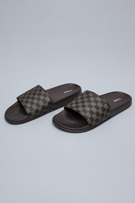 Checked Slides