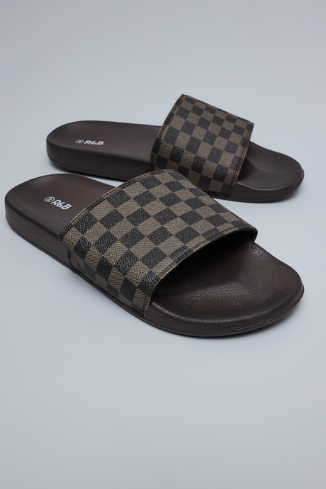 Checked Slides