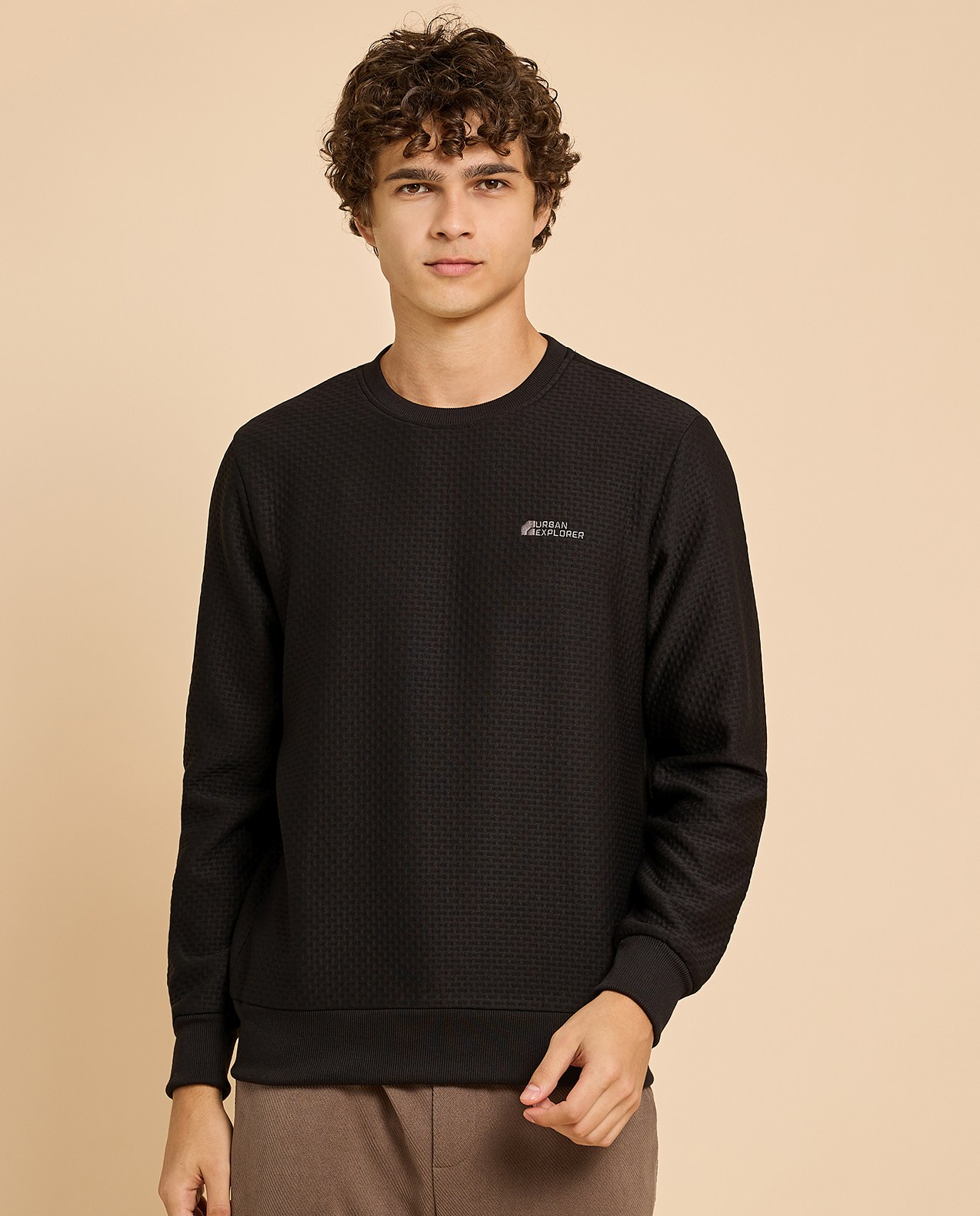 Textured Sweatshirt with Crew Neck and Long Sleeves