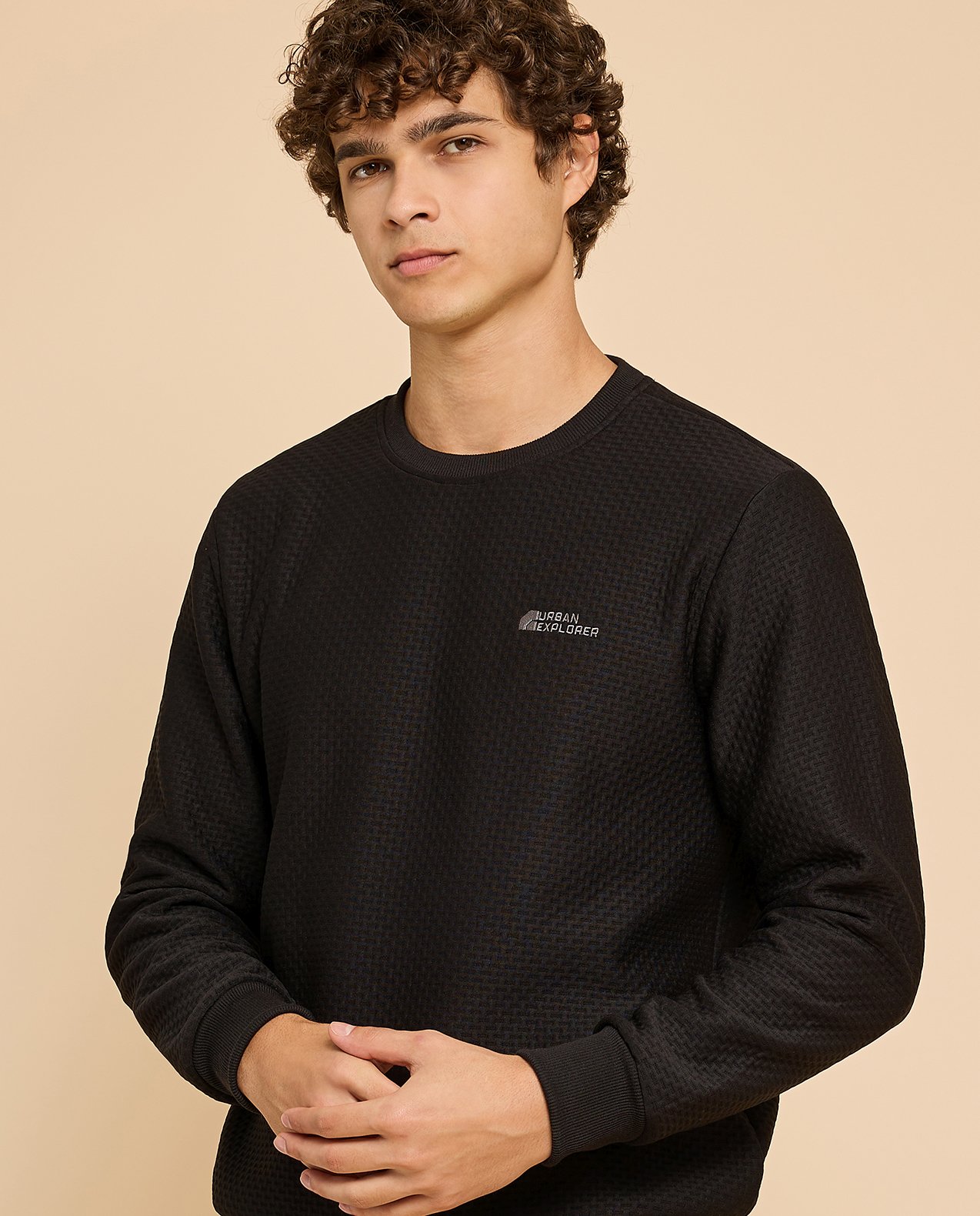 Textured Sweatshirt with Crew Neck and Long Sleeves