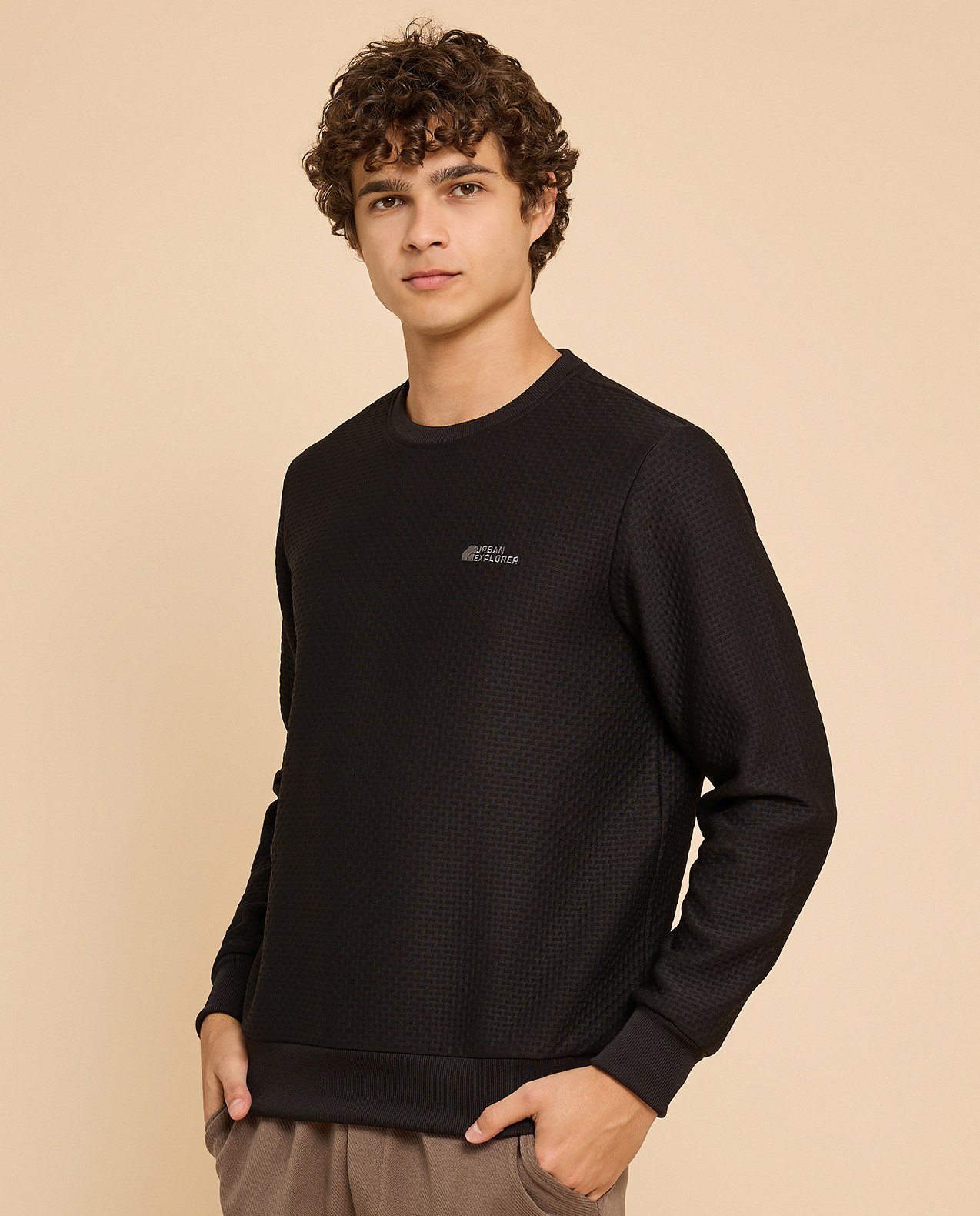 Textured Sweatshirt with Crew Neck and Long Sleeves