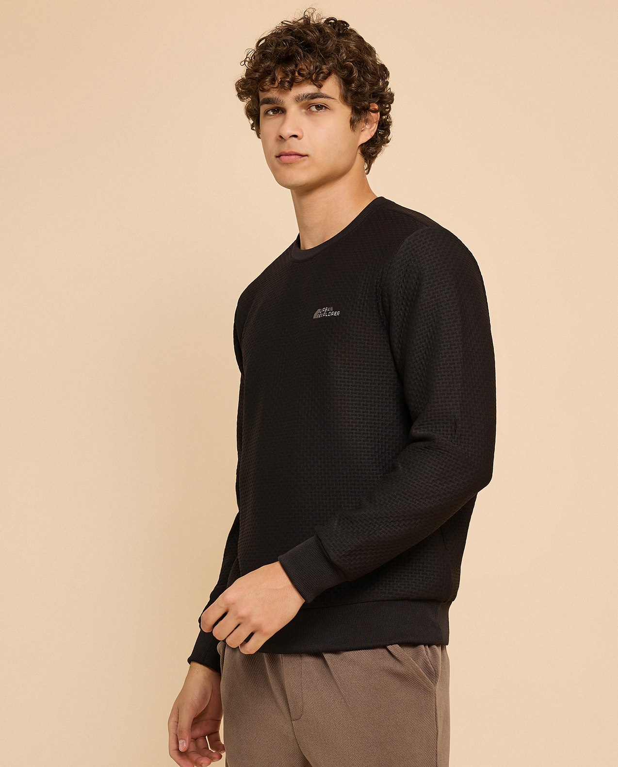 Textured Sweatshirt with Crew Neck and Long Sleeves