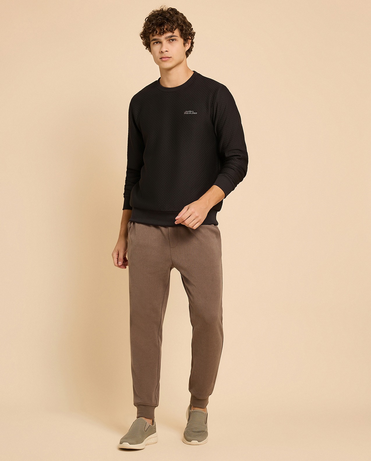 Textured Sweatshirt with Crew Neck and Long Sleeves